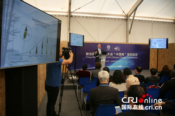 国外专家在中国角开馆日致辞