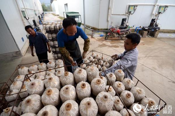 废品收购站_废品废料收入(3)