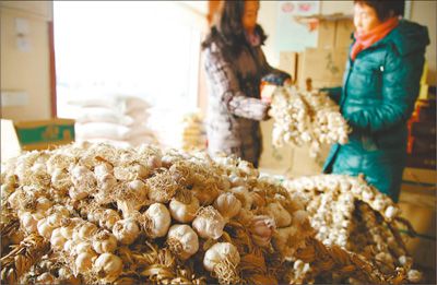 图为顾客在挑选大蒜。