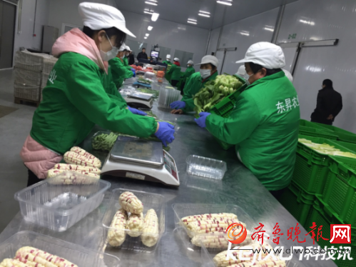 京东生鲜签约东升蔬菜 协同仓打造生鲜农产品