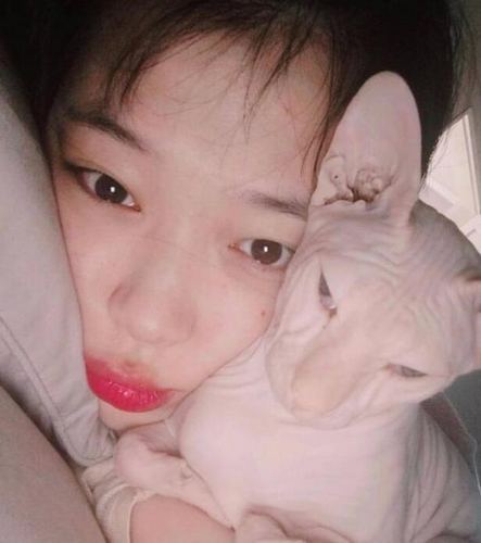 雪莉再晒家居照，抢镜的却是她的无毛猫 (组图)