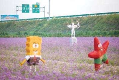 贾庄镇的乡情缘葡萄采摘园。