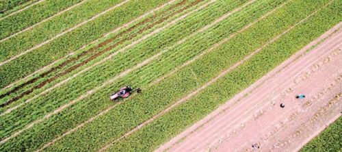 2017年商河县两会专题报道:街镇咋发展,12位书