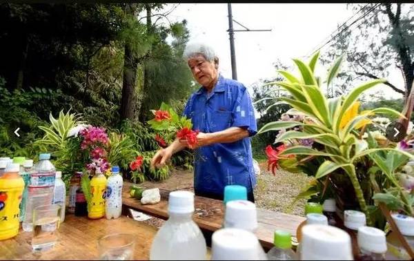 时至今日，岛袋里奈被抛尸的地方仍不断有民众摆放鲜花悼念。