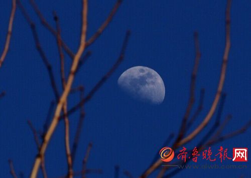 济南:蓝天实在太妙,月亮4点半就出来了