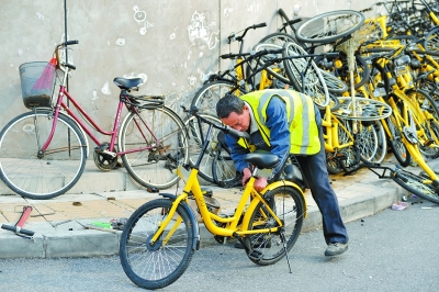 乱停共享单车 企业租客均须担责
