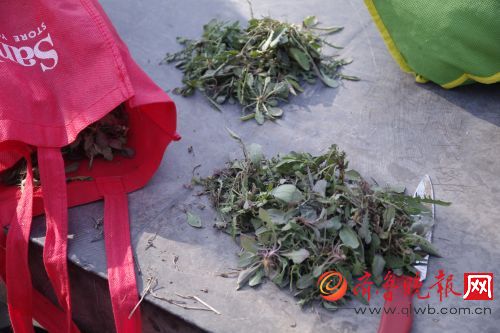 野菜里的春天味道