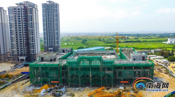 猪苓蘑菇图片_猪苓每平方米可收入(3)