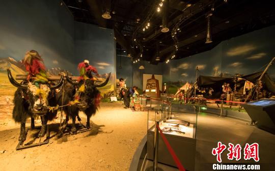西藏牦牛博物馆馆内实景展示 何蓬磊 摄