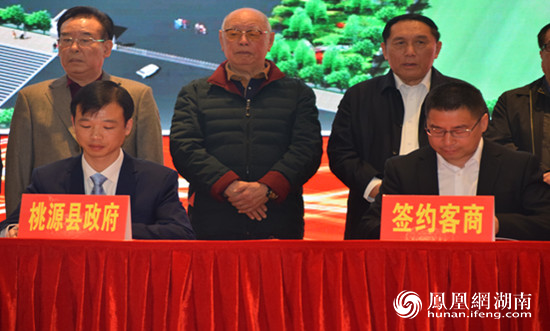 桃源县 经济总量2019_小丑2019图片