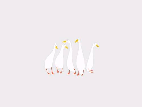 不懂这些 你注定要一辈子当理财小白_凤凰河南