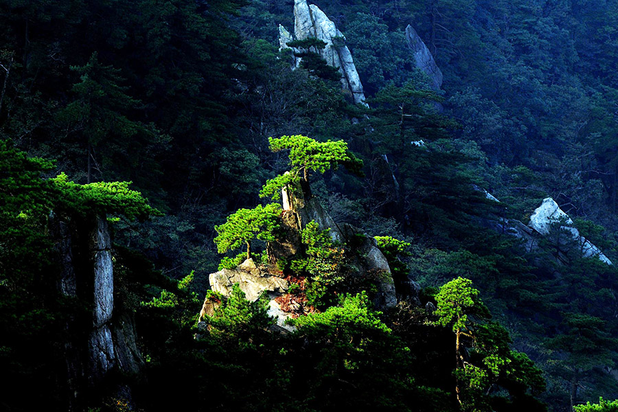 安徽十大5A级风景区:天堂寨(简介交通实景游记) 夏季走在天堂寨(简介交通实景游记)的小道上,偶有阵阵清风袭来,带着一股山间所特有的清新滋味,似乎每个毛孔都沉醉在这清凉中忘情呼吸,令人忍不住深深沉迷。大别山天堂寨还是灵动的,大大小小的108道接力式、风格不同、落差不等、形态各异的瀑布群还原了水的生命力。滔滔水流经瀑布的顶部流下,浩浩荡荡地从崖顶飞落,或倾泻而下,蔚为壮观;或悠然飘洒,撩人心魂;或一瀑三叠,飞花溅玉;或穿林入潭,幽深神秘…… 门票价格:成人票115元/人 合肥至