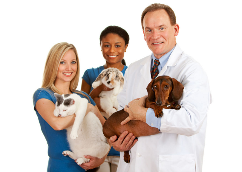 宠物酵素菌是什么?狗狗吃酵素菌有什么功效?