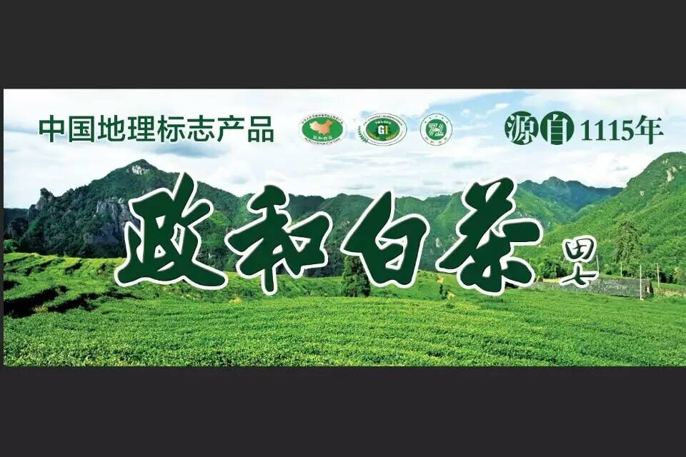 政和白茶领军品牌佛子山狮峰茶业亮相厦门98