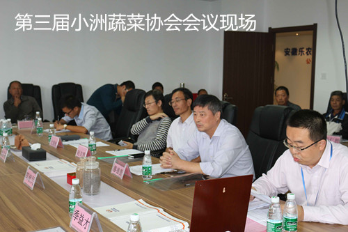 傅剑锋当选第三届小洲蔬菜协会会长发言稿