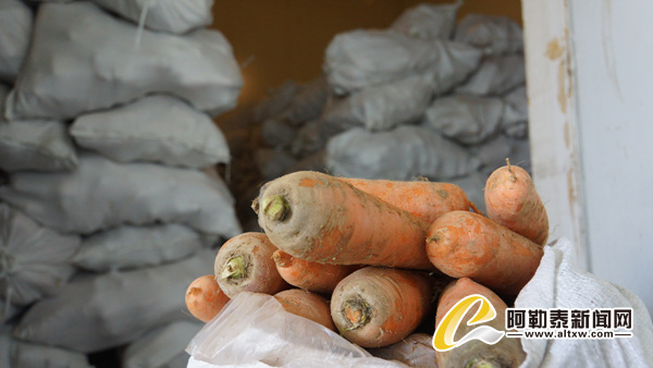 阿勒泰市政府储备菜将于11月1日开始销售