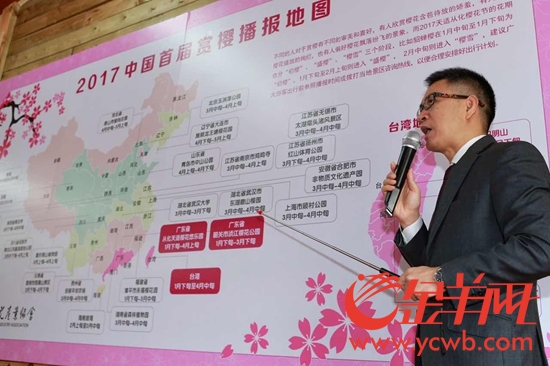 中国樱花花期首次全国播报，台湾樱花加入其中