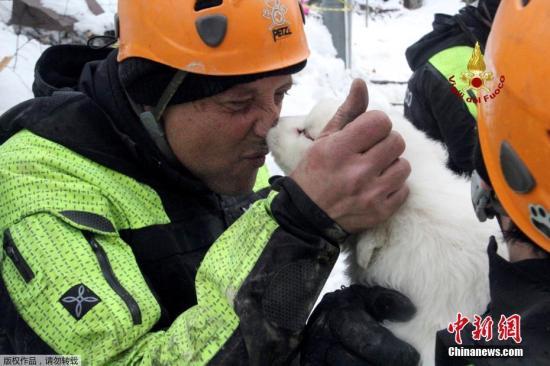 意大利雪崩酒店挖出3只狗宝宝 救援人员又抱又亲