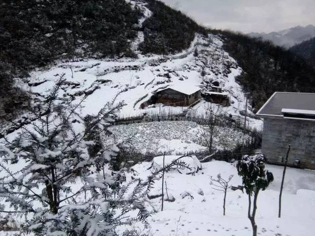 贵州下雪了!贵州下雪了!2017年贵州第一场雪!