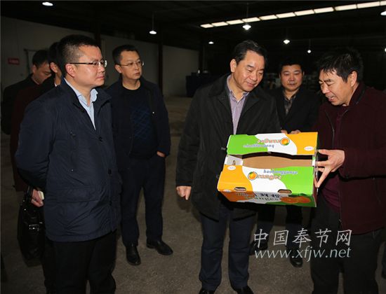 县委书记杨树海深入企业，了解奉节脐橙的包装