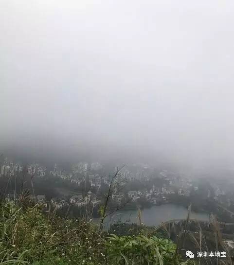 深圳人千万挺住！冷空气+持续10天下雨！