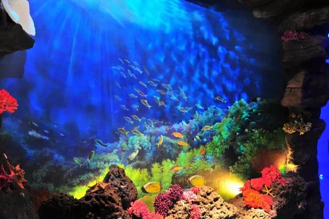 梦海探奇,钓趣与再获的深层寓意 梦海探奇,钓趣与再获的深层寓意