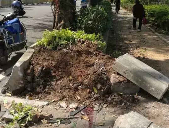 宝马撞飞共享单车 女子当场死亡疑因2男子喝酒