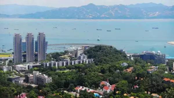8条线个地标建筑和景点让你玩转深圳! 水族资讯 南京水族馆第6张 8条线个地标建筑和景点让你玩转深圳! 水族资讯 南京水族馆第6张