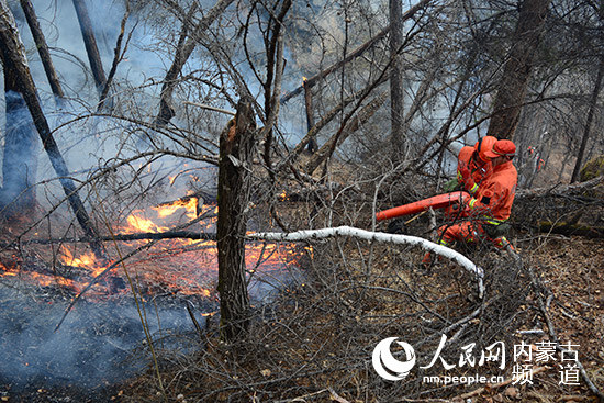 内蒙古大兴安岭又发生一起森林火灾 正在全力扑救