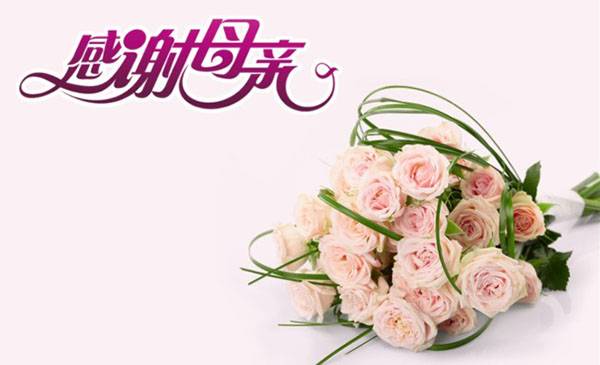 一束玫瑰花一个太阳猜成语_一个太阳的图片猜成语(2)