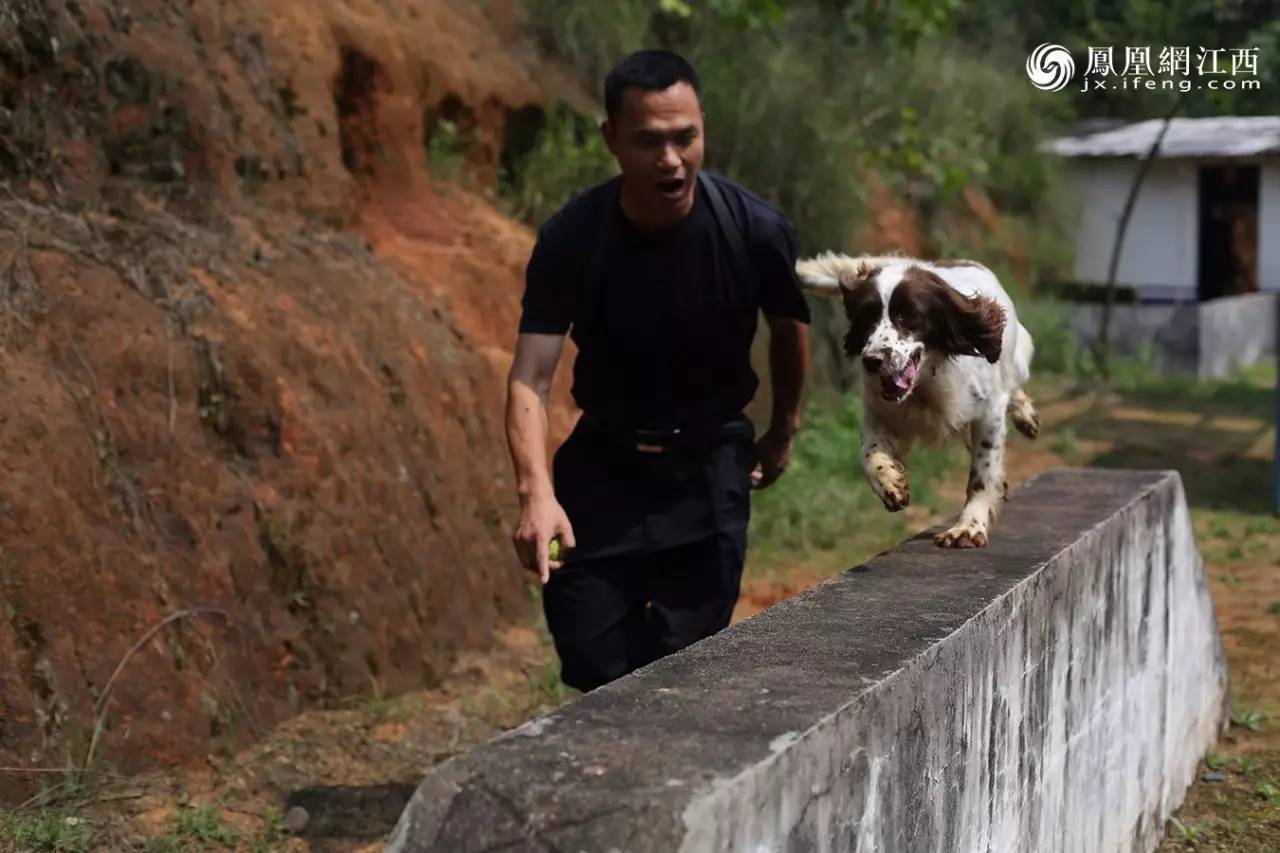 凤见第98期：揭秘现实版“拆弹专家”