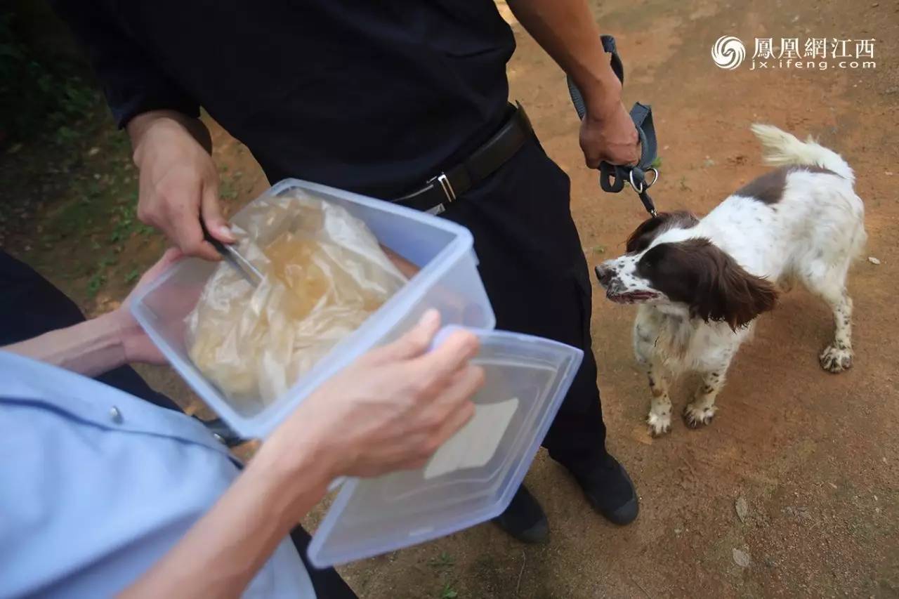 凤见第98期：揭秘现实版“拆弹专家”