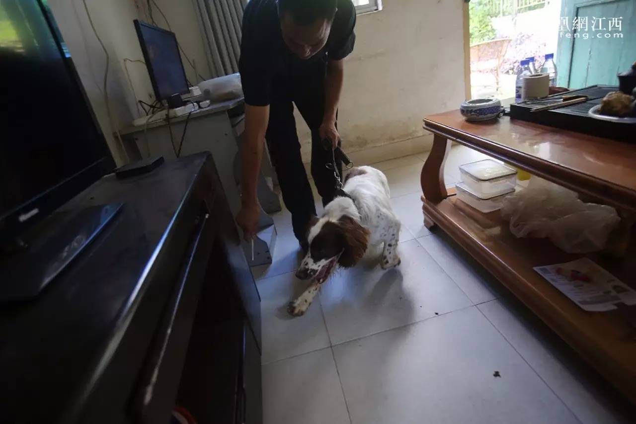 凤见第98期：揭秘现实版“拆弹专家”