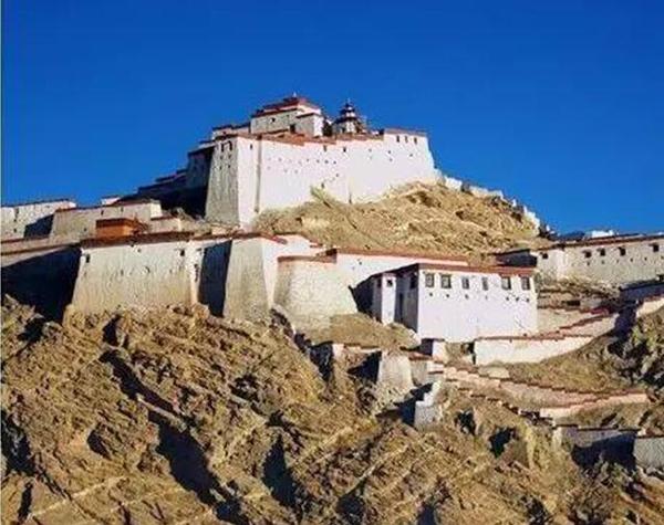4个西藏地方特色资源建设项目通过国家验收