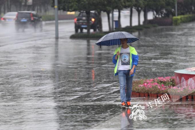 昨日重庆11个区县出现暴雨 明后天山城依旧飘雨