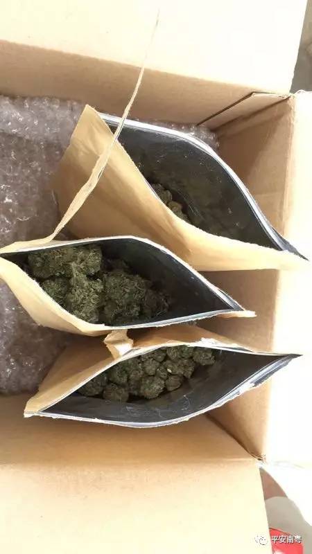 外籍男子在广州裸跑伤人 牵出种植贩卖大麻团伙