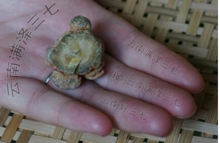 云南三七粉的功效与作用及吃法,三七粉的副作