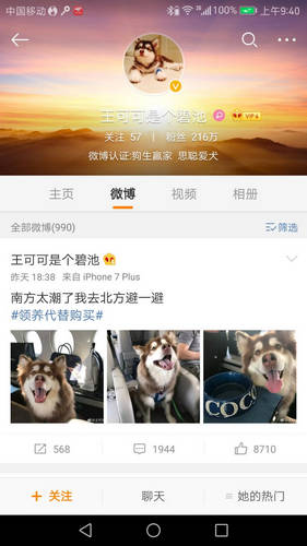 王思聪带宠物坐飞机 业内：私人飞机客舱也不能带狗