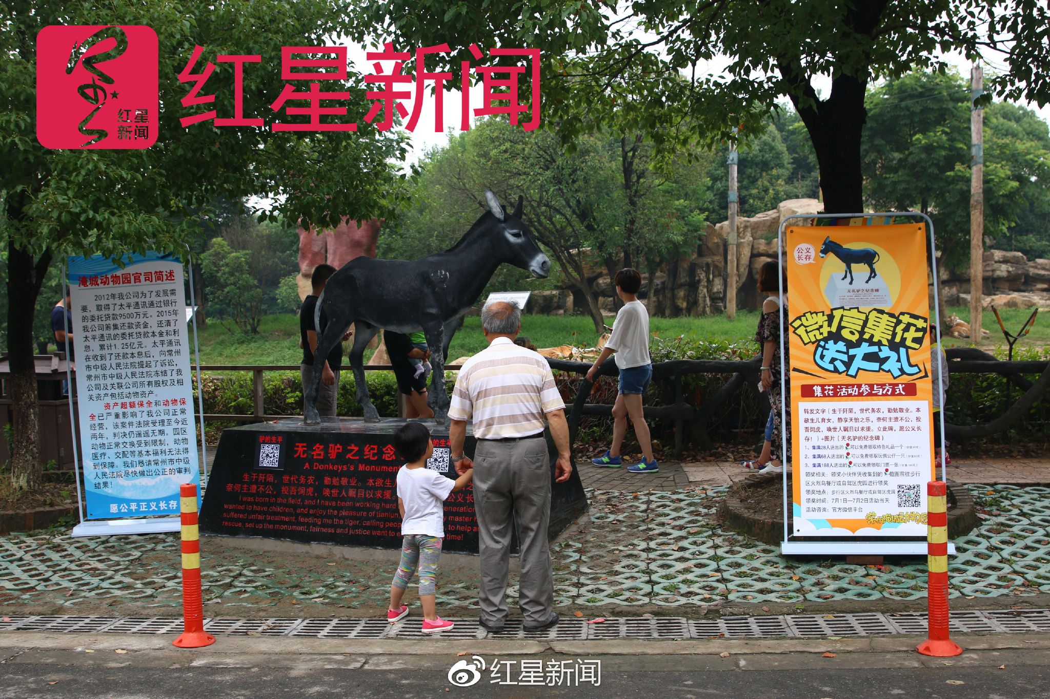 动物园投活驴被喂老虎园方立无名驴之纪念碑