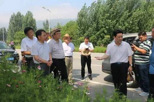 方城县委书记禇清黎深入杨集乡七十二潭景区调研旅游产业助扶贫工作