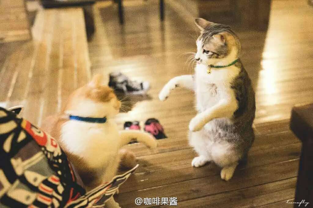 遍地闽南美食 林立百年古厝 这个浪漫的城市不只有小清新