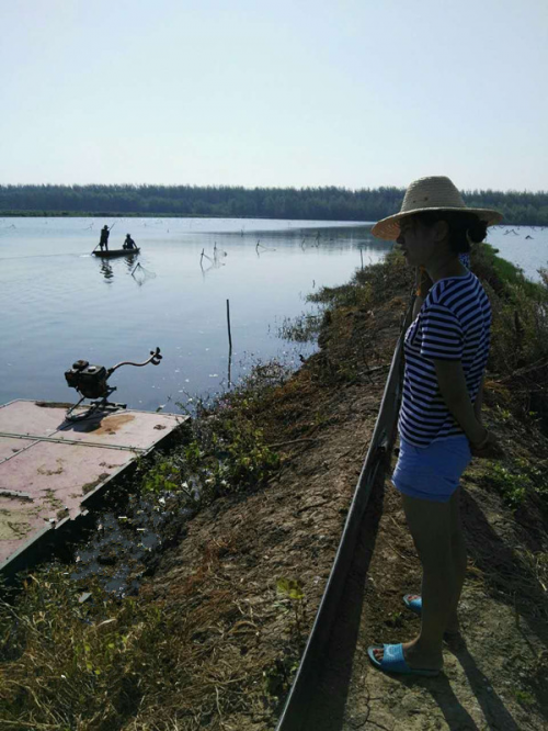 湖北小龙虾批发市场商张淅诚信经营,备受青睐