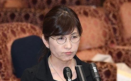 日本防卫大臣稻田朋美辞职 涉嫌瞒报维和文件