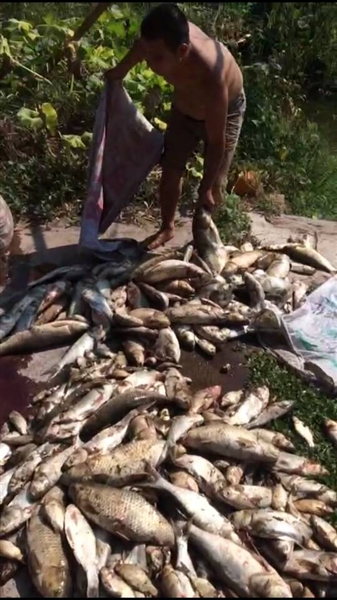 四川泸州遭热浪袭击最高温41.6℃ 蚊子被热死