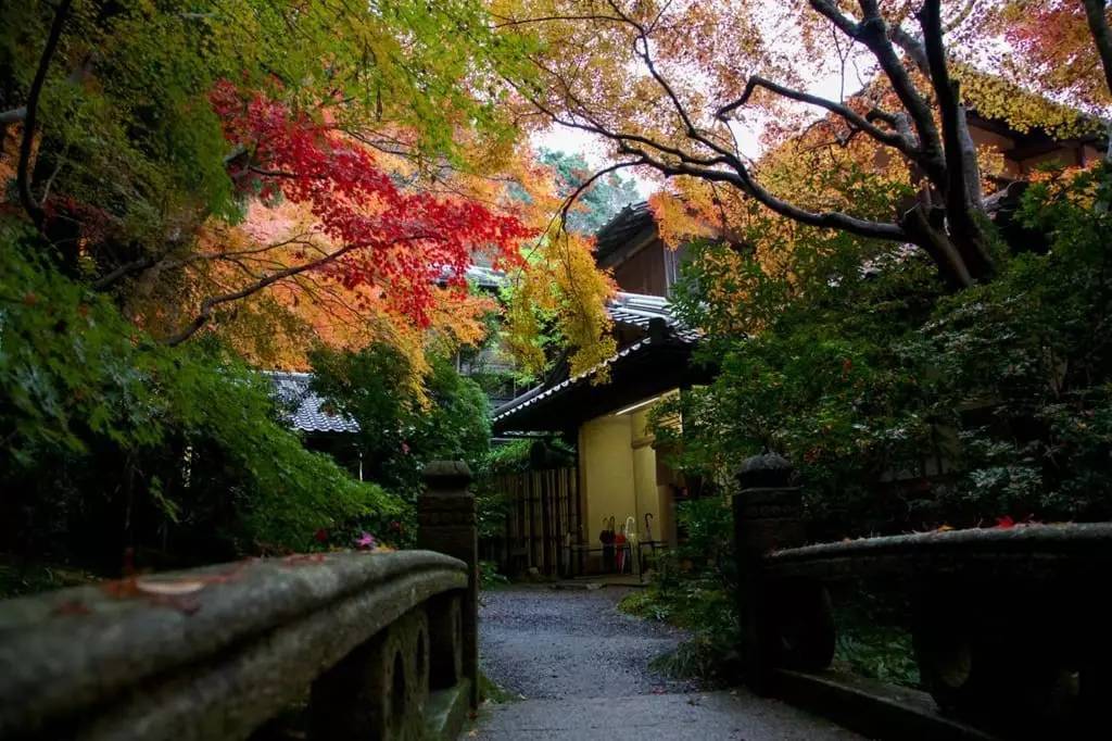 京都这个只开放2个月的寺庙 值得放弃其他红叶观赏地