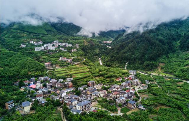 羊山村人口_马山县羊山村航拍