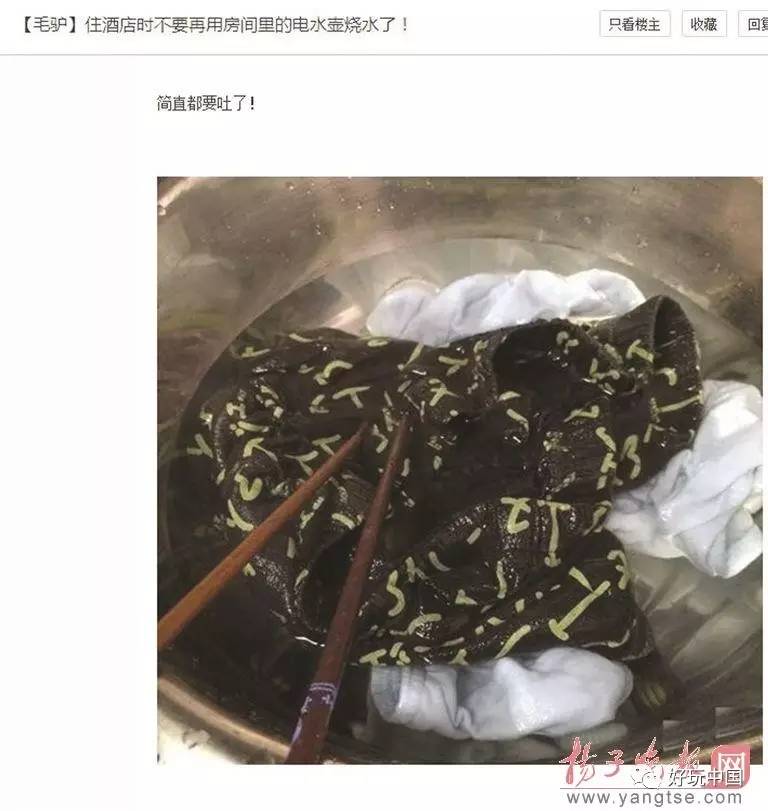 五星酒店不换床单?还有更可怕的:热水壶煮内裤…