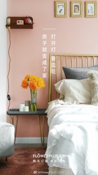 Flowerplus走心场景营销与来往路人玩转花式