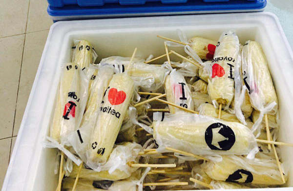 和马餐饮助力2017沈阳马拉松