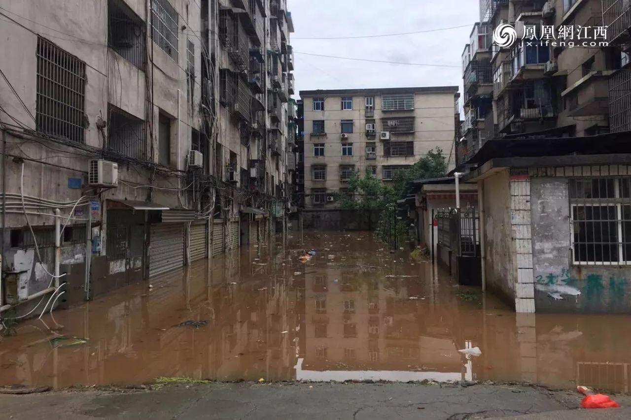 凤见第111期：解读萍乡“海绵”城市